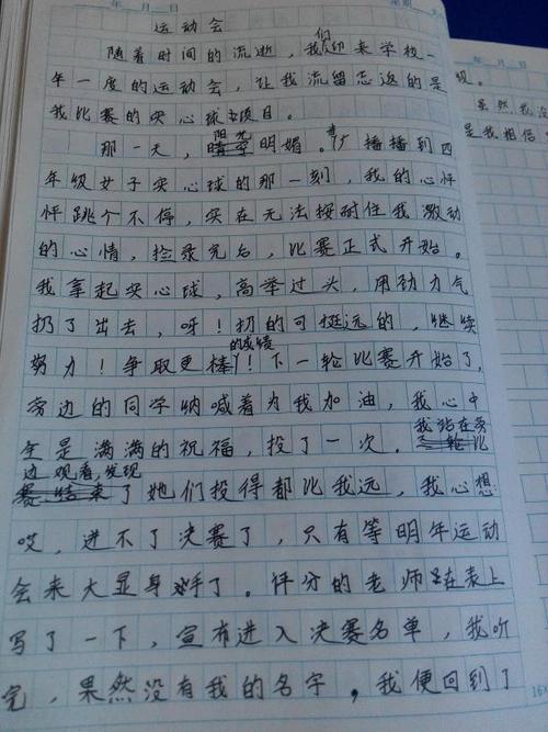 关于游戏的组成（200字）：在体育派对之前_450字