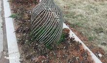 平淡中也有诗_500字