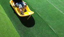 阳光灿烂的日子_450字