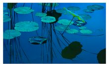 千年月色万年情_750字