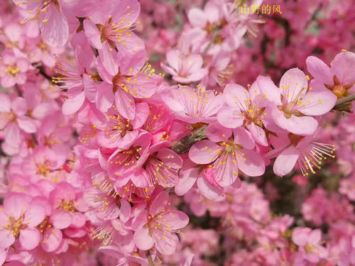 等待城市花开头_900字