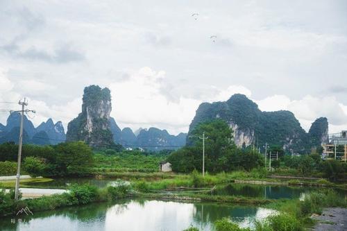 我们是景观_1000字