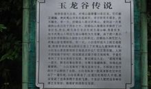 关于秋游的作文：秋游金顶山_600字