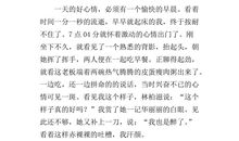 关于秋游的作文：秋游阳朔_1500字