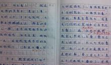 关于秋游的作文：秋游麋鹿苑_800字