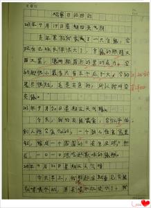 观察组成：观察日记 - 蚂蚁_300字