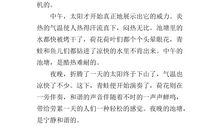 关于观察的作文：日全食观察记_500字