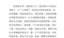 关于观察的作文：贪吃的小乌龟_400字