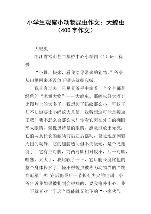 观察组成：观察小蝗虫_200字