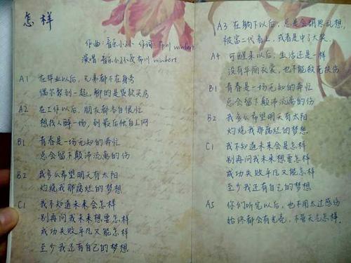高三维感觉：我想进入前十_1000字