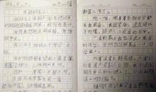 关于运动会的作文：有趣的家庭运动会_1200字