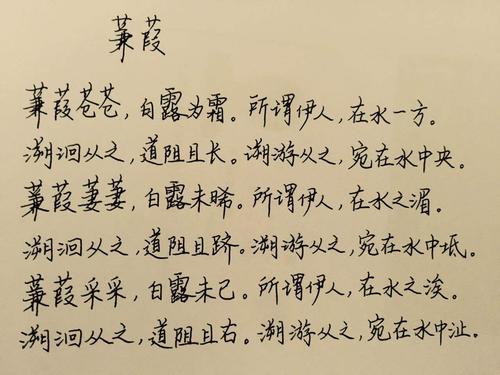 寻找觅觅，寻找觅，好像她站在芦苇里，我对我微笑，伸出援手，但很远。每次回来都要留下镜子花和虚幻。
