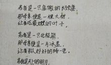 关于母亲节作文：献给母亲的赞歌（演讲稿）_350字