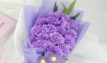 关于母亲节作文：康乃馨—给妈妈的礼物_750字