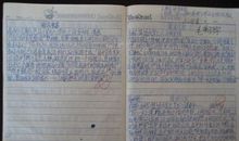 关于母亲节作文：母亲节的梦_800字