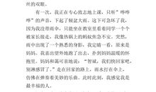 关于母亲节作文：用什么回报您母亲演讲稿_800字