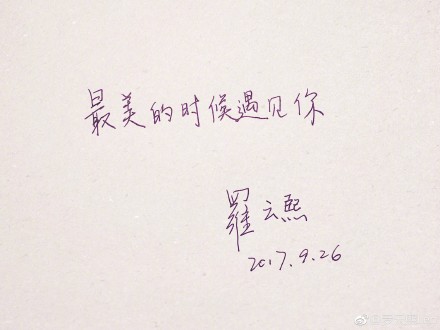 一个美丽的遭遇_600字