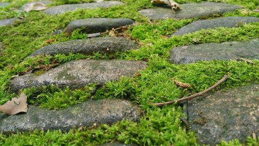 时间污点_1200字