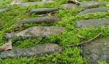 时间的印迹_1200字