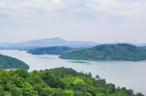 天穆湖找到茶旅程_1000字