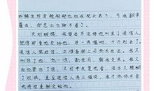 一棵树，牵动我的情思_550字