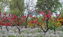 目送兮，不落别处_1200字