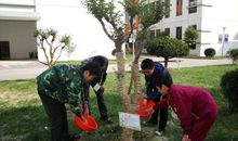 应该保护地球啊！_750字