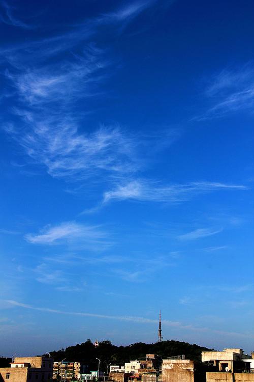 夏天早上_700字