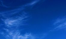 夏日的早晨_700字