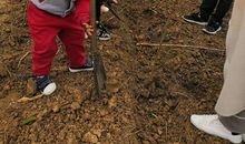 让小鸟拥有温暖的家园_150字