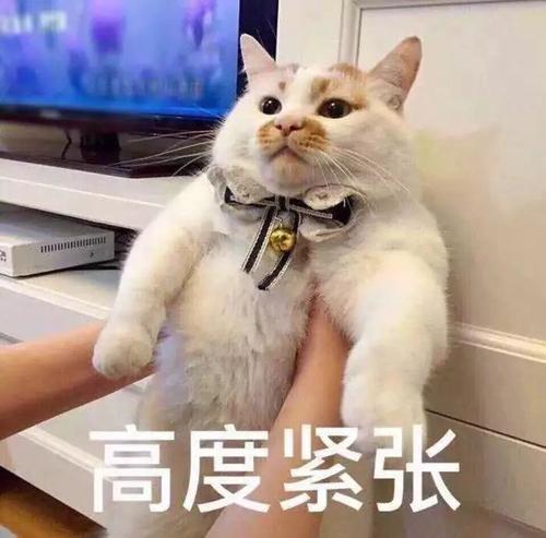 第一个托管_650字