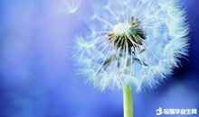 [2015新年心愿]渴望一双翅膀_250字