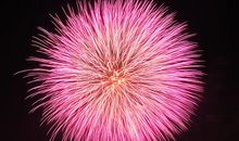 怒放的烟花_1200字