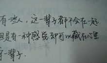 烙印在时光里的生命片刻_1500字