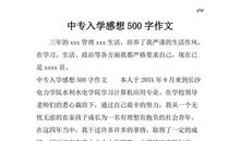 实践活动感想_500字