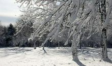 冬日里的温暖_800字