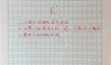 关于母亲节作文：母爱的作文_900字