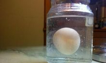 我发现了你的秘密_1200字