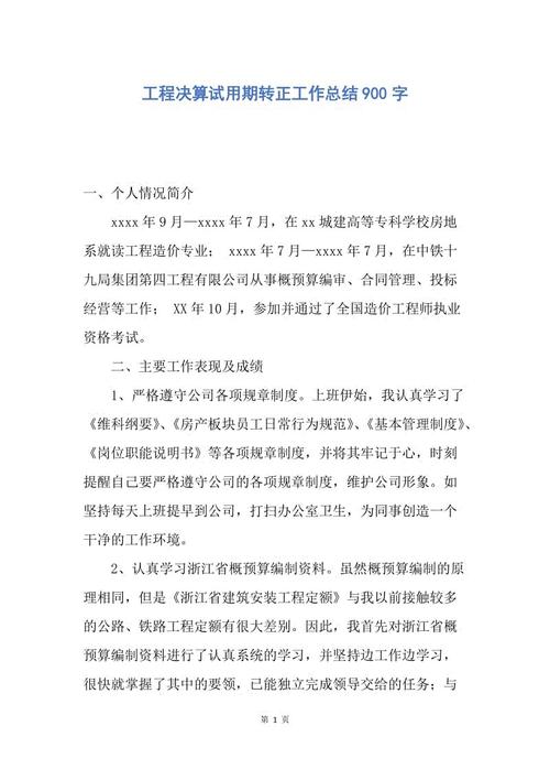 我的秘密计划_900字