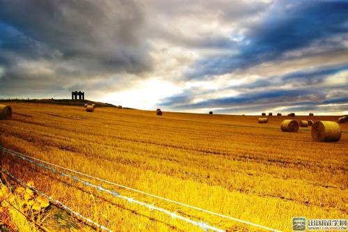 我喜欢秋天的领域2_900字