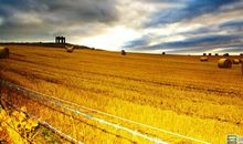 我爱秋天的田野2_900字