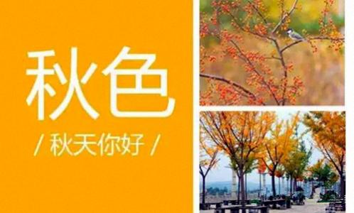 美丽的秋季1_300字