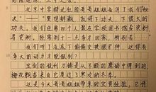 一次别开生面的活动课_450字
