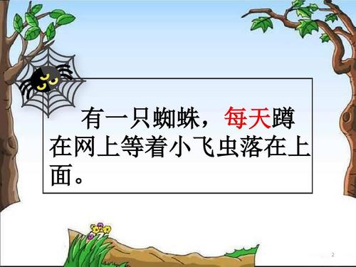 蜘蛛的第二个新网络秘密_500字