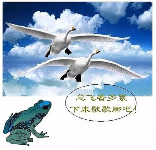 关于苦恼的作品：癞癞癞癞_600字