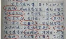 关于苦恼的作文：值日的苦恼_900字