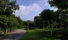 家乡的河流_450字