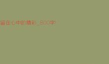 留在心中的精彩_800字