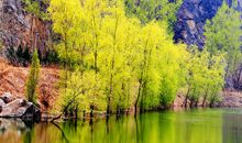 山里的春天_750字