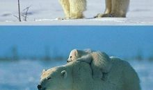 亲情，让我感动_750字